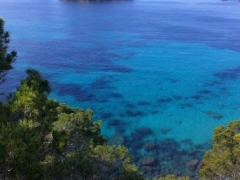 150214_A_Mallorca_0693