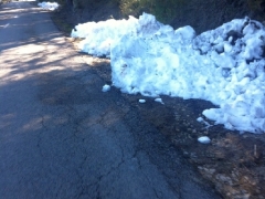 150214_A_Mallorca_0730