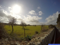 DCIM\100GOPRO\GOPR0737.