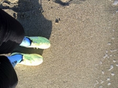 150404_Th_Finale Ligure_276622