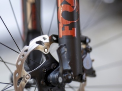 schoenherr-20240520-0100