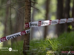 schoenherr-20240520-0186