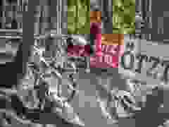 RWZ_1260