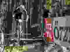 RWZ_1272
