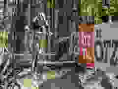 RWZ_1281