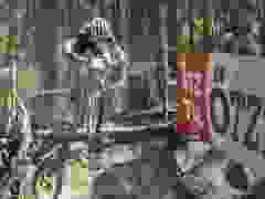 RWZ_1312