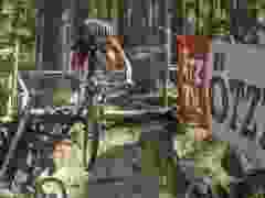 RWZ_1320