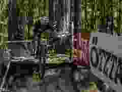 RWZ_1392