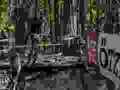 RWZ_1402