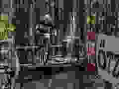 RWZ_1411