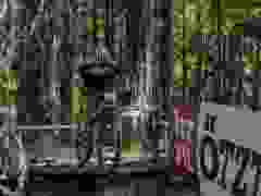 RWZ_1412