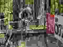 RWZ_1432