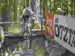 RWZ_1446