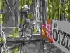 RWZ_1447
