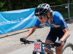 250511_0317_ASb
