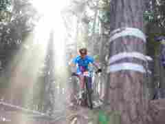 Andreas_Gaensluckner20260425_0098