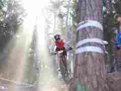 Andreas_Gaensluckner20260425_0099