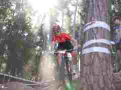 Andreas_Gaensluckner20260425_0109