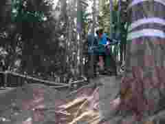Andreas_Gaensluckner20260425_0111