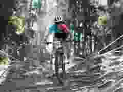 Andreas_Gaensluckner20260425_0219