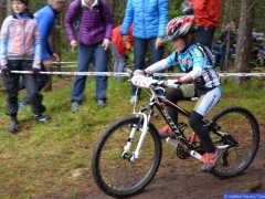 140503_OEMBF_Koller_7619