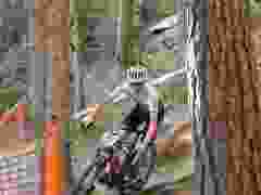 Z9A7741