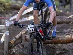 schoenherr-20240520-0020