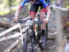 schoenherr-20240520-0021