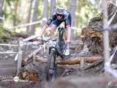 schoenherr-20240520-0035