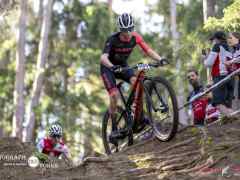 schoenherr-20240520-0039