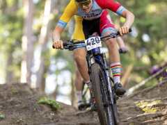 schoenherr-20240520-0042