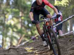 schoenherr-20240520-0045