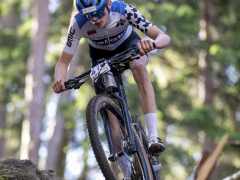 schoenherr-20240520-0341