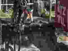 6II7296