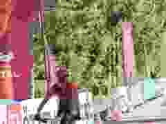 RWZ_1758