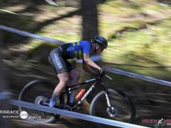 schoenherr-20240520-0142