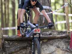 schoenherr-20240520-0146