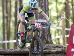 schoenherr-20240520-0161