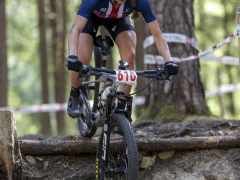 schoenherr-20240520-0164