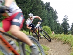 OLYMPUS DIGITAL CAMERA