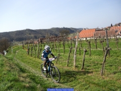 160402_Ch_Langenlois_0661612