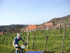 160402_Ch_Langenlois_0661713