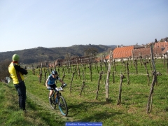 160402_Ch_Langenlois_0661814