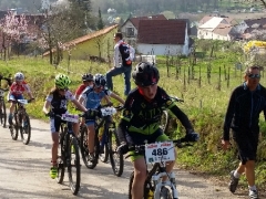 160402_M_Langenlois_16345323