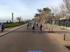 170211_Th_Mallorca__689111