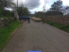 170211_Th_Mallorca__702062