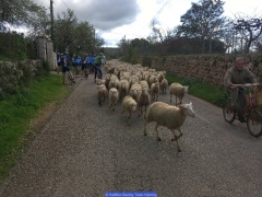 170211_Th_Mallorca__702163