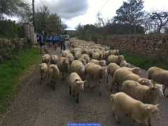 170211_Th_Mallorca__702264