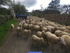 170211_Th_Mallorca__702365