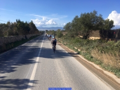 170211_Th_Mallorca__703072